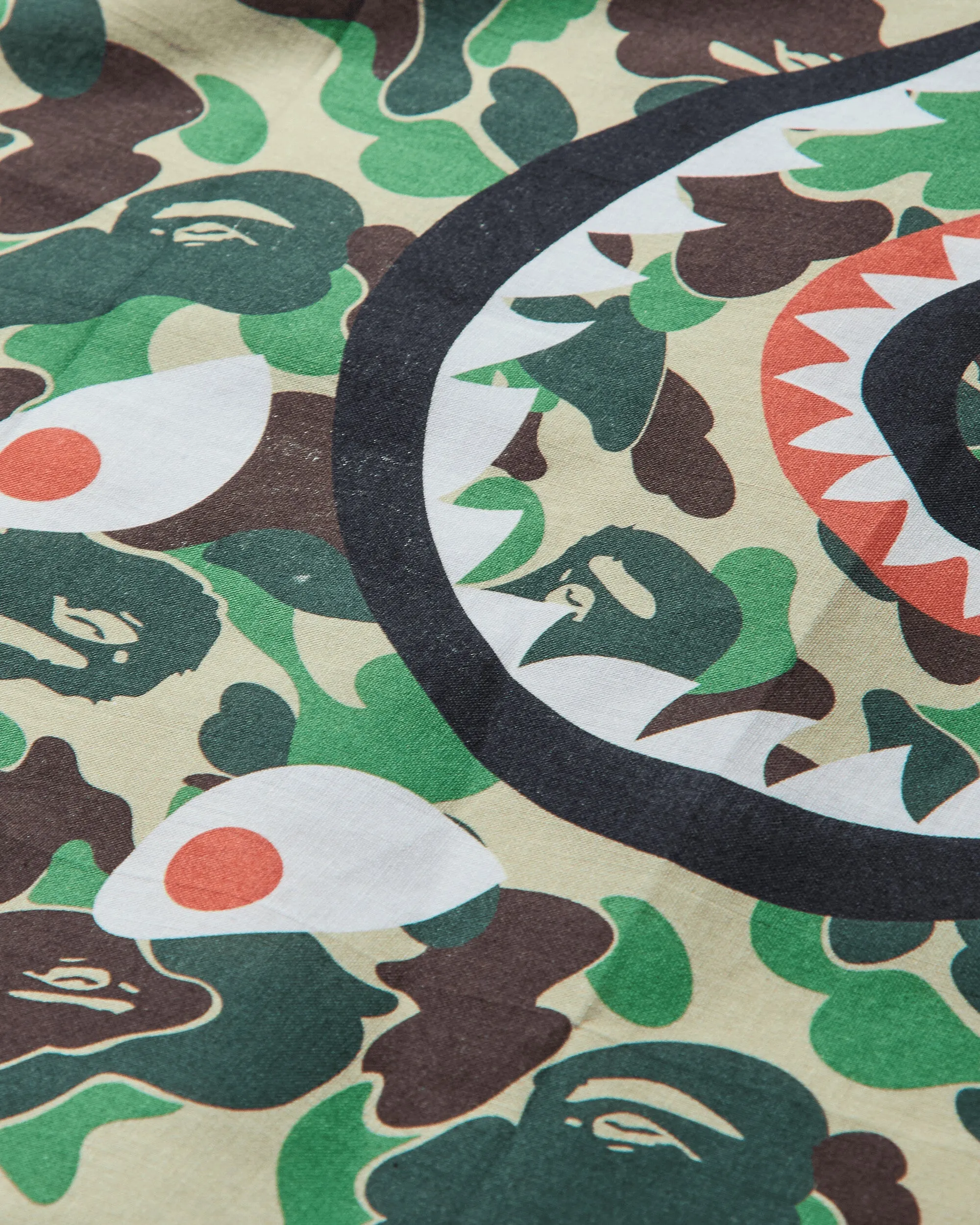 ABC Shark Bandana Green