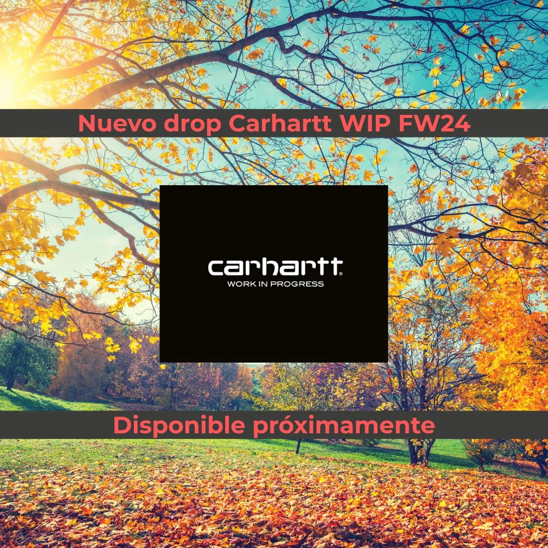 CARHARTT WIP HALF ZIP AMERICAN SCRIPT SWEAT | SUDADERA CON MEDIA CREMALLERA Y CUELLO ALTO