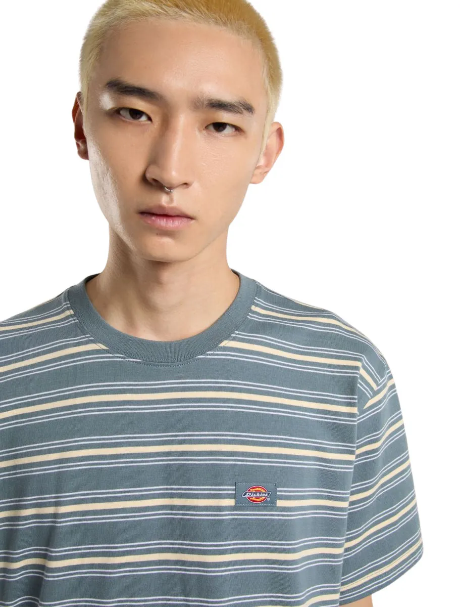 DICKIES LEWISTOWN STRIPE SS TEE | CAMISETA A RAYAS