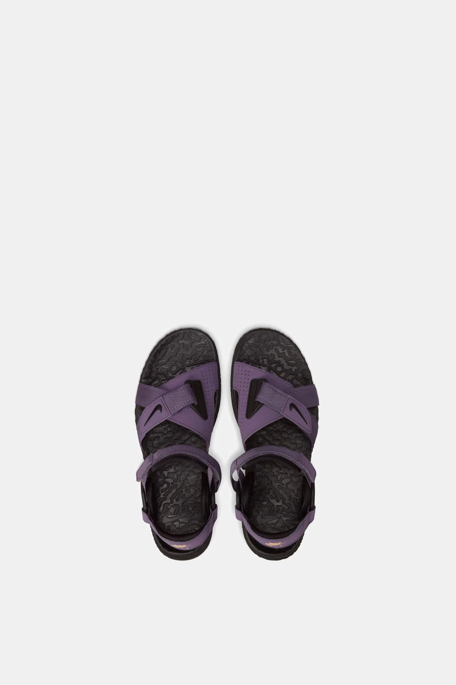 Nike ACG Air Deschutz  